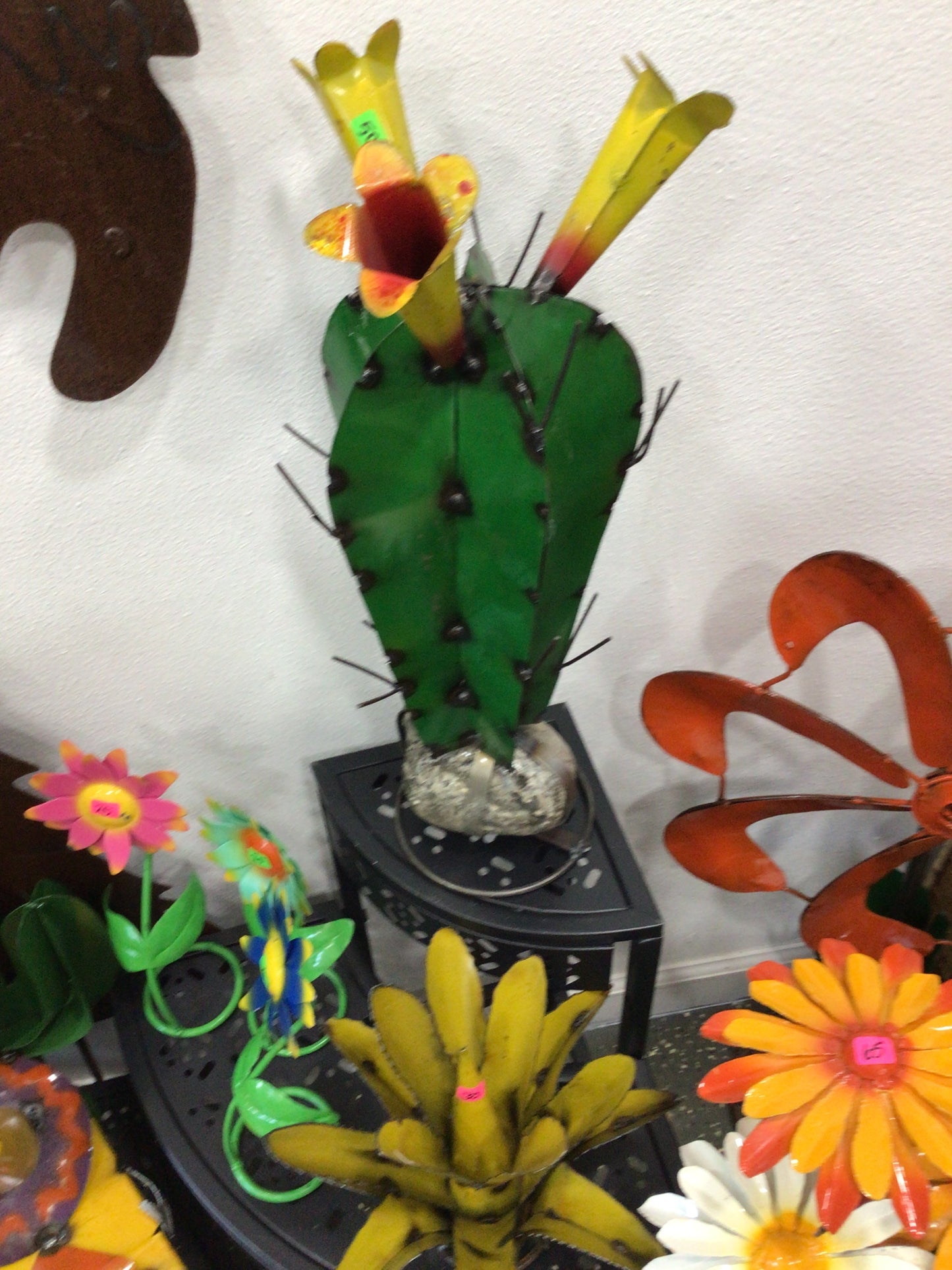 Cactus on rock