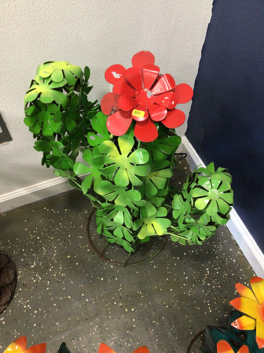 Arizona cactus