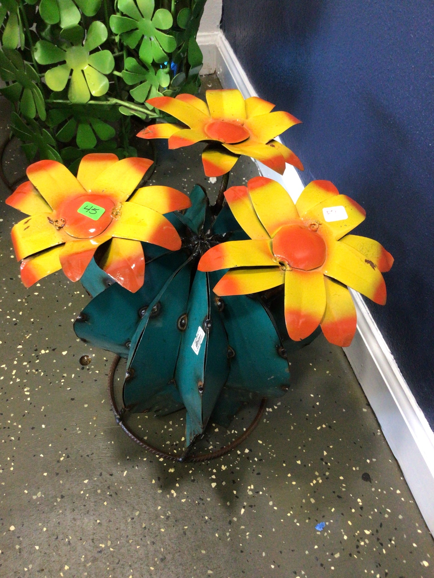 Tuna ball cactus small