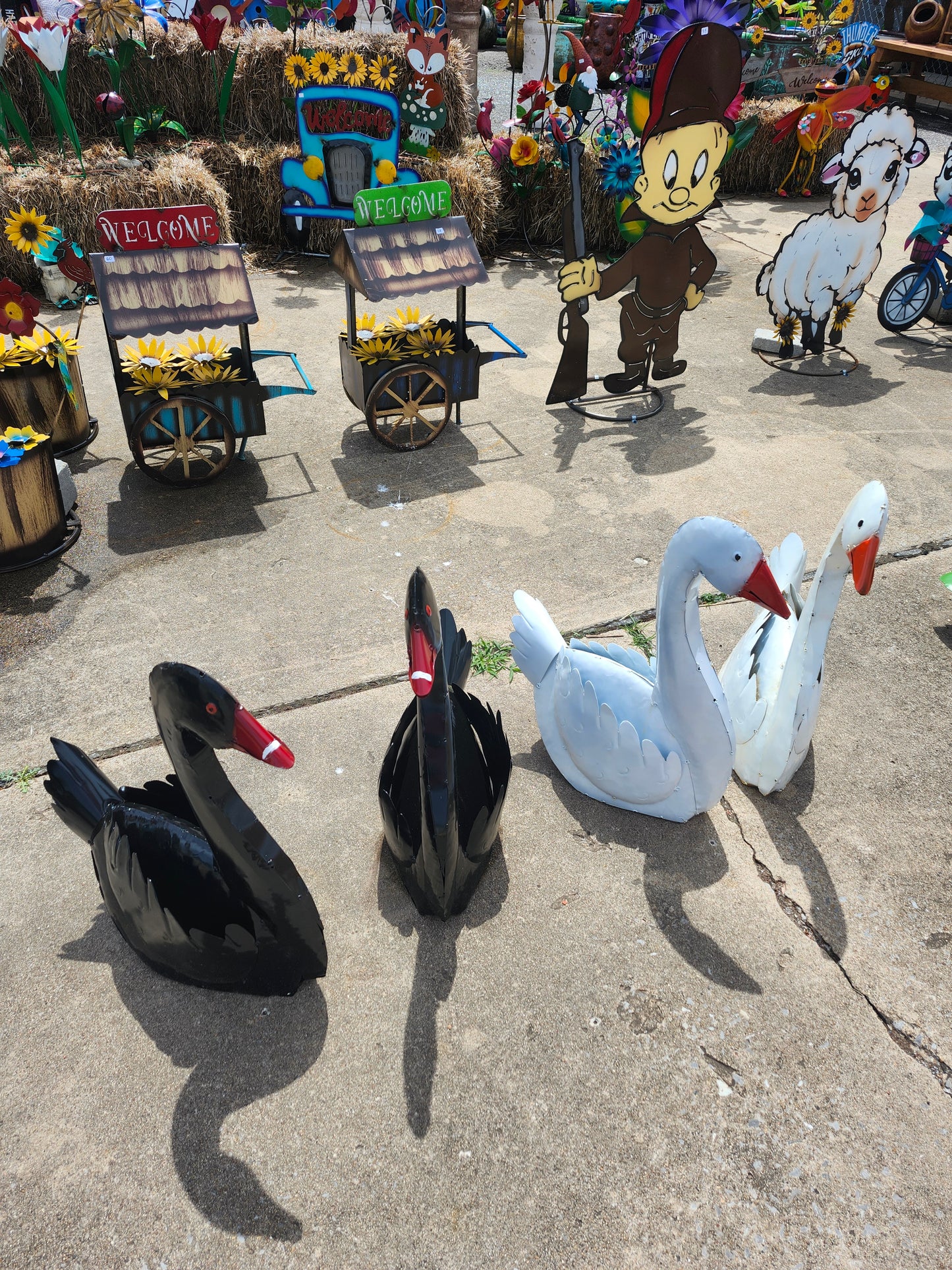 Swans