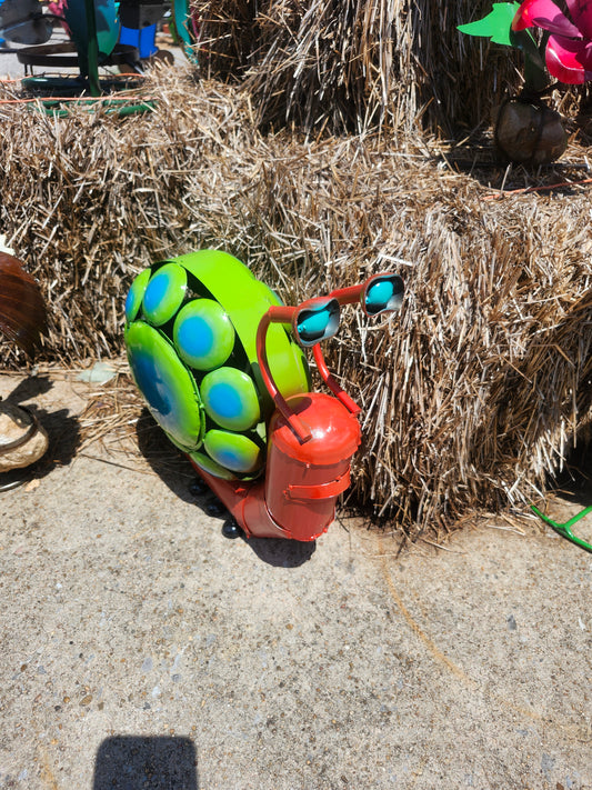 Circle Snail