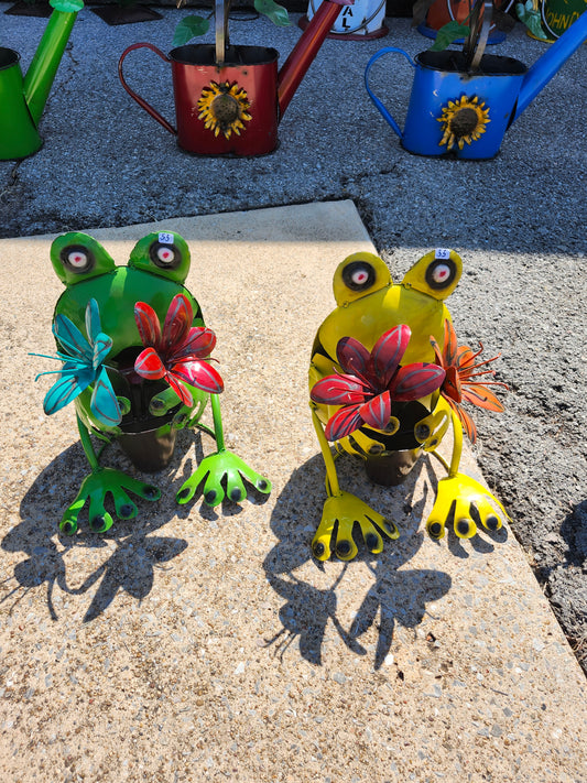 Setting frog