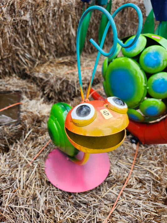 Snail