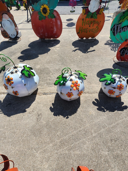 White pumpkin
